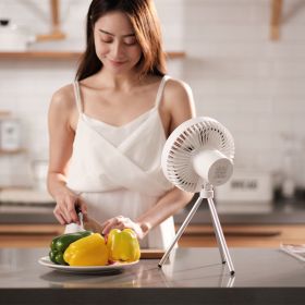 Outdoor Portable USB Timing Tripod Fan 10000mAh Battery Long Life Camping Light Camping Fan (Color: White)